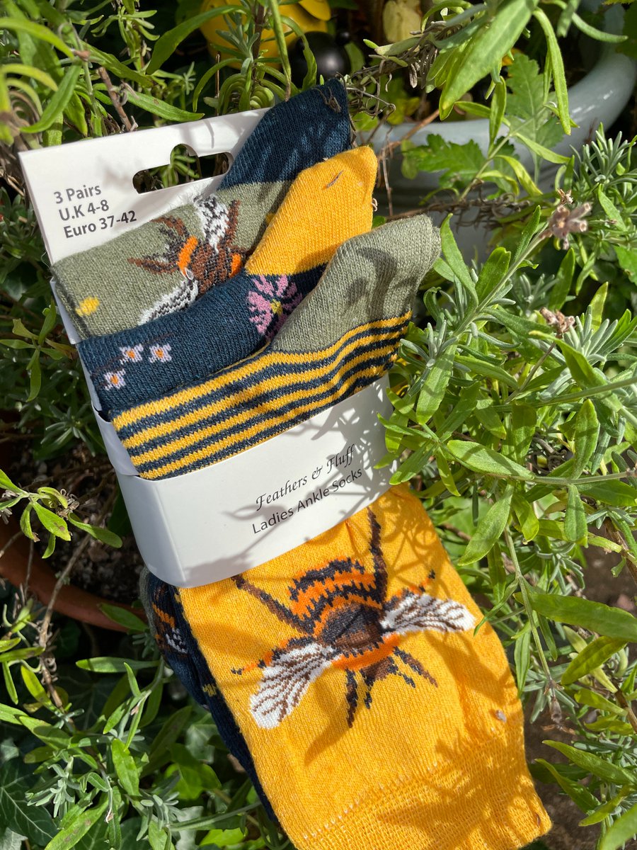 Julia Rawlinson tweet media