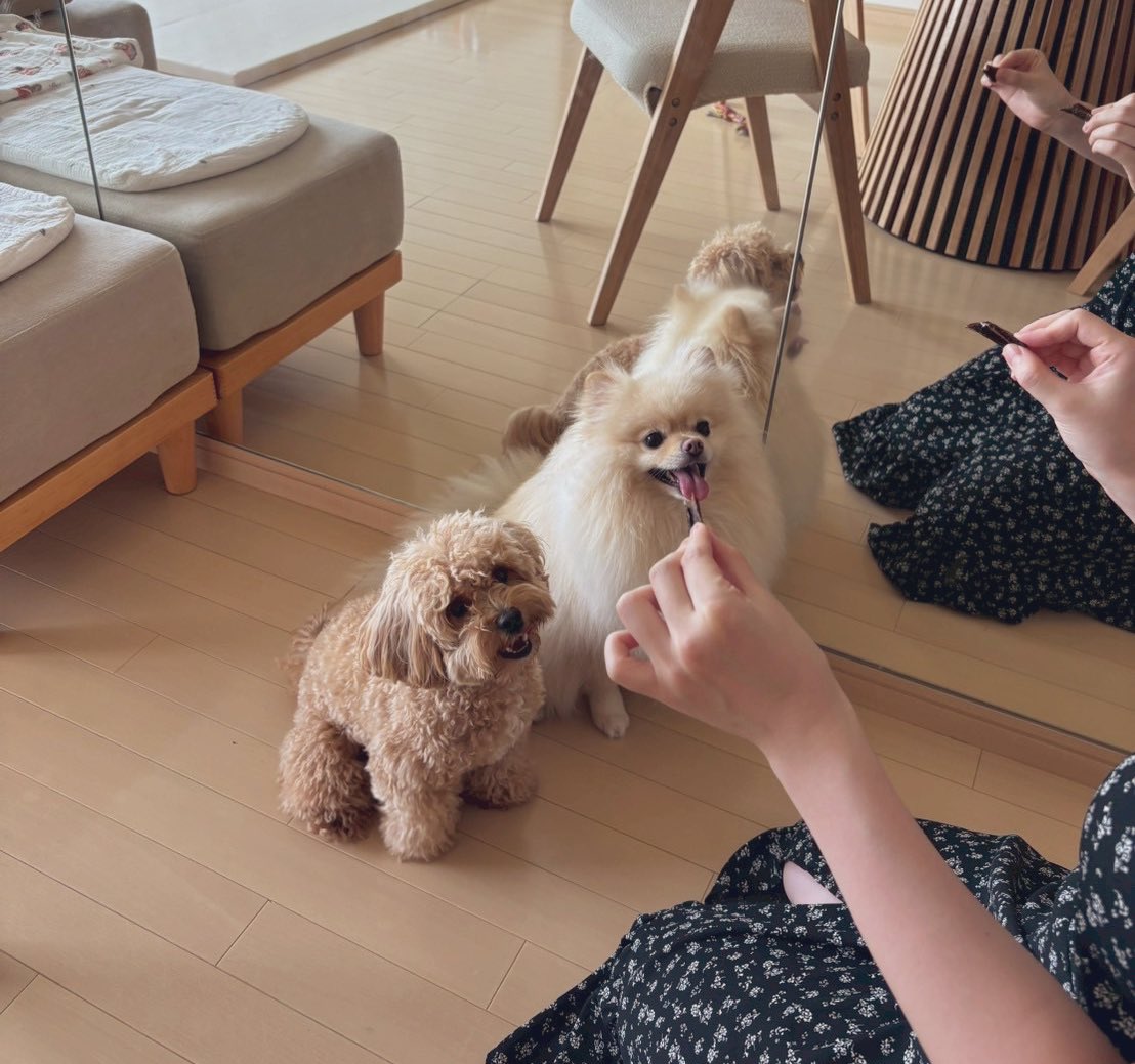 zob4v's tweet photo. チームニコニコ https://t.co/umRlQloT5A