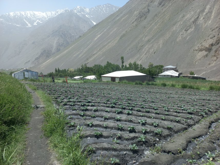 ajmal_pbg's tweet photo. World Policy on climate change is important to achieve 13th point (Climate Ation) of United Nation's SDGs by reducing GHGs emmissions. Otherwise no adaptation & mitigation measures r enough to save the world.
#UnitedNations #Pakistan
#Broccoli #North
#Chitral #Arkari https://t.co/wH3cSobk7d