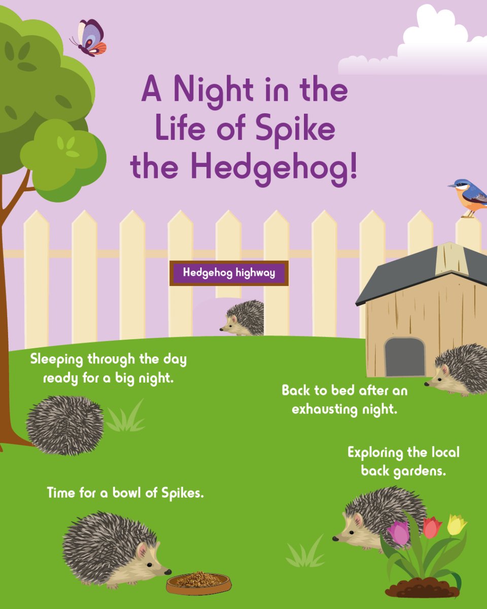 Spike's Food tweet media