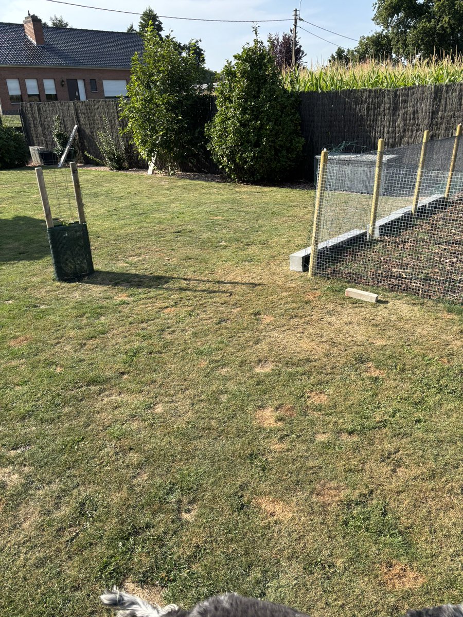 I love my parents garden