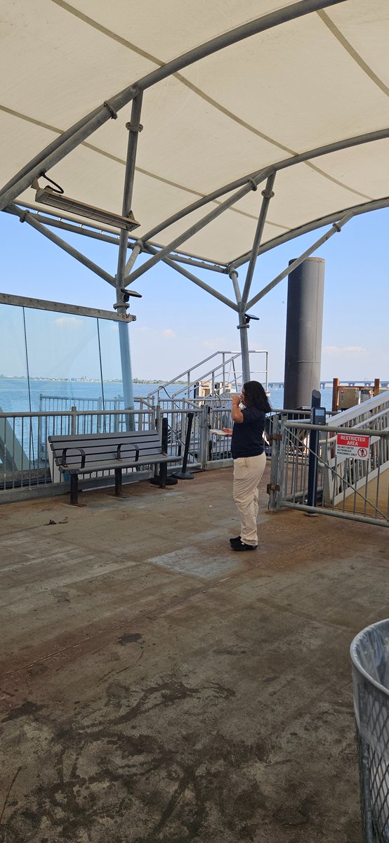 DeirdreRMC's tweet photo. NYC Ferry
Plenty of seats, yet we are told we must sit in the sun, 90° plus expected today. Where is the consideration for seniors, s
Disabled, and patrons. Shameful https://t.co/F4YGxR3uA2
