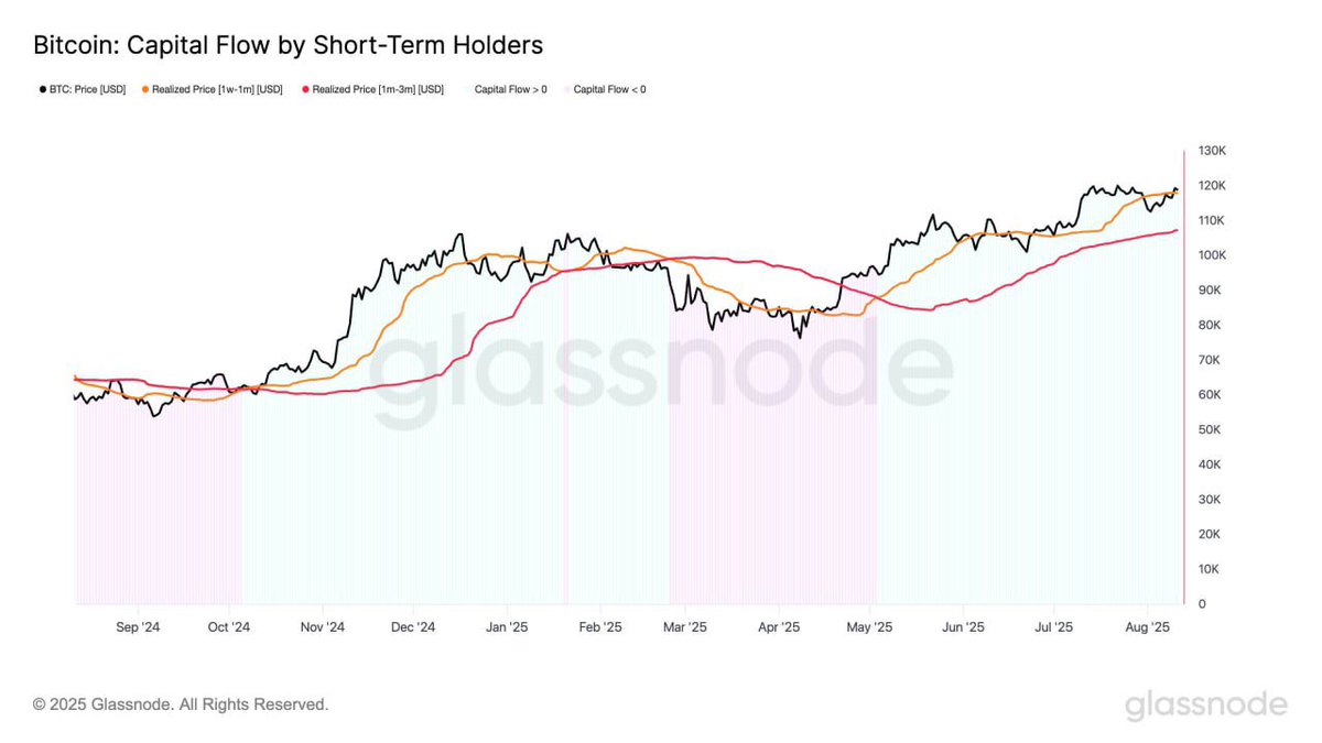 CoinwatcherNews's tweet image. 📊 #Glassnode Cuando el costo base de los poseedores de 1 semana a 1 mes supera al de 1 a 3 meses, significa que los compradores más recientes están pagando una prima — señal alcista 🔥.

Actualmente, la brecha sigue siendo amplia, lo que indica que la demanda a corto plazo de…