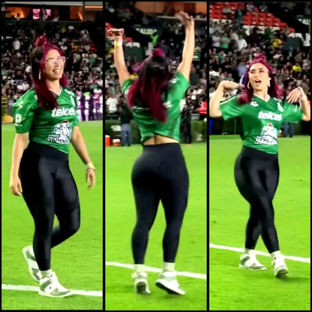 Ayer se metió un perro al estadio de leon.
Vemos si llega a WWE o no