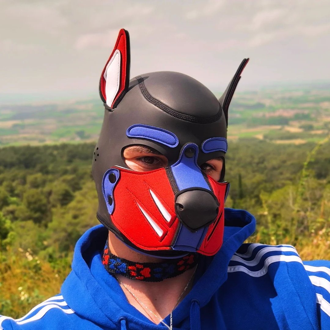 pup_quay's tweet photo. #NouvellePhotoDeProfil
J'arrive sur X. Gentil pup sage qui à des choses à cacher. 😊😜😋 https://t.co/nMPv7wgBg4