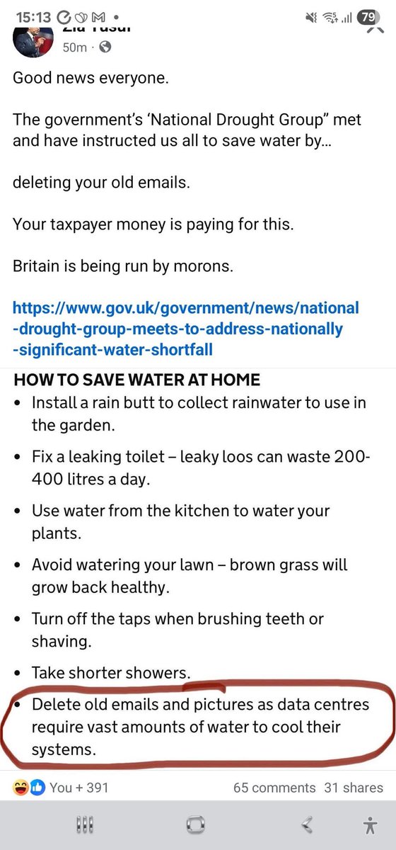 Anthony hegedus tweet media