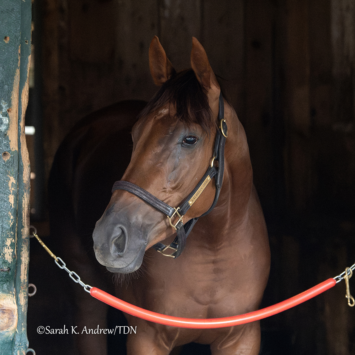 Laurelin 🤝 Kendrick Carmouche

Back in New York following her June 27 Penn Oaks triumph, the 3-year-old Zarak filly stepped up to graded stakes company with ease as she kept her perfect record intact with a victory in Saturday's GII Fasig-Tipton Saratoga Oaks Invitational.

"You