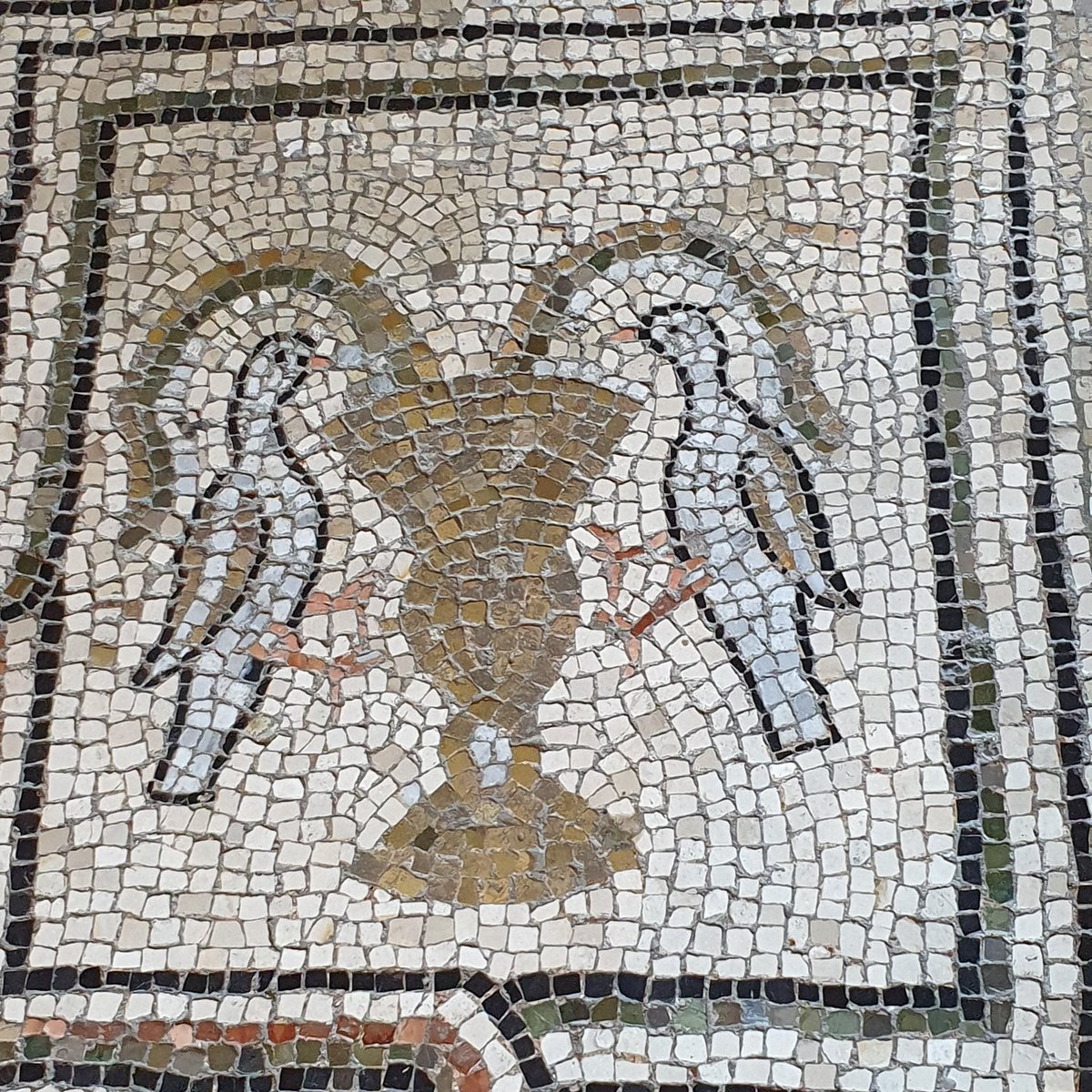 Basilica di S. Vitale, Ravenna. Pavimento. #ravennamosaici