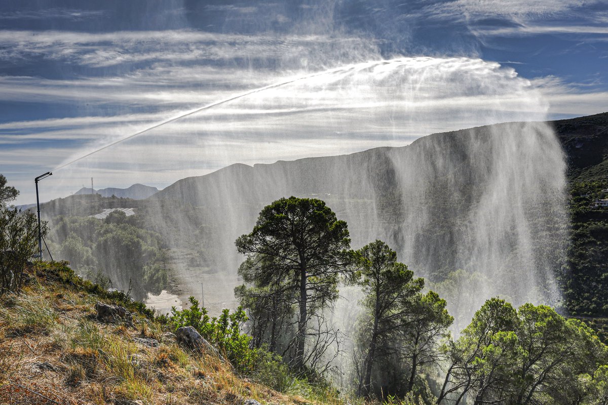 Ferran Dalmau - Rovira tweet media