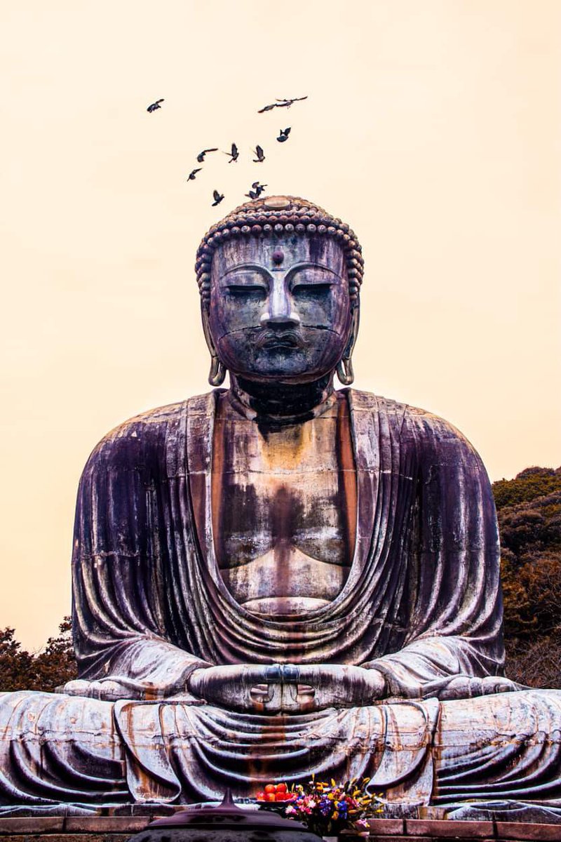 “We can never obtain peace in the outer world until we make peace with ourselves. “