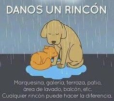 En tiempos de lluvia, no nos olvidemos de ellos.

#lluvia #lluvias #Lluviasfuertes #lluviacdmx #CDMX #Clima