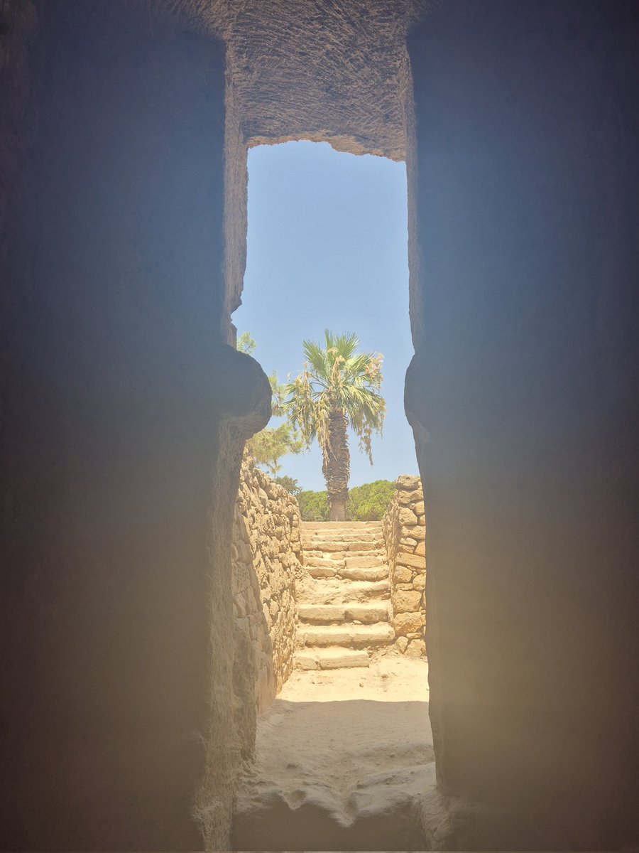 TheHistoryMouse's tweet photo. How many hashtags can you get in a single Tweet (yes, Tweet), Mouse? Lots. #TombWithAView #ThickTrunkTuesday #HeidiInPaphos #TombsOfTheKingsPaphos #TombTuesday
View from rock carved tomb https://t.co/R7SiBtGslp