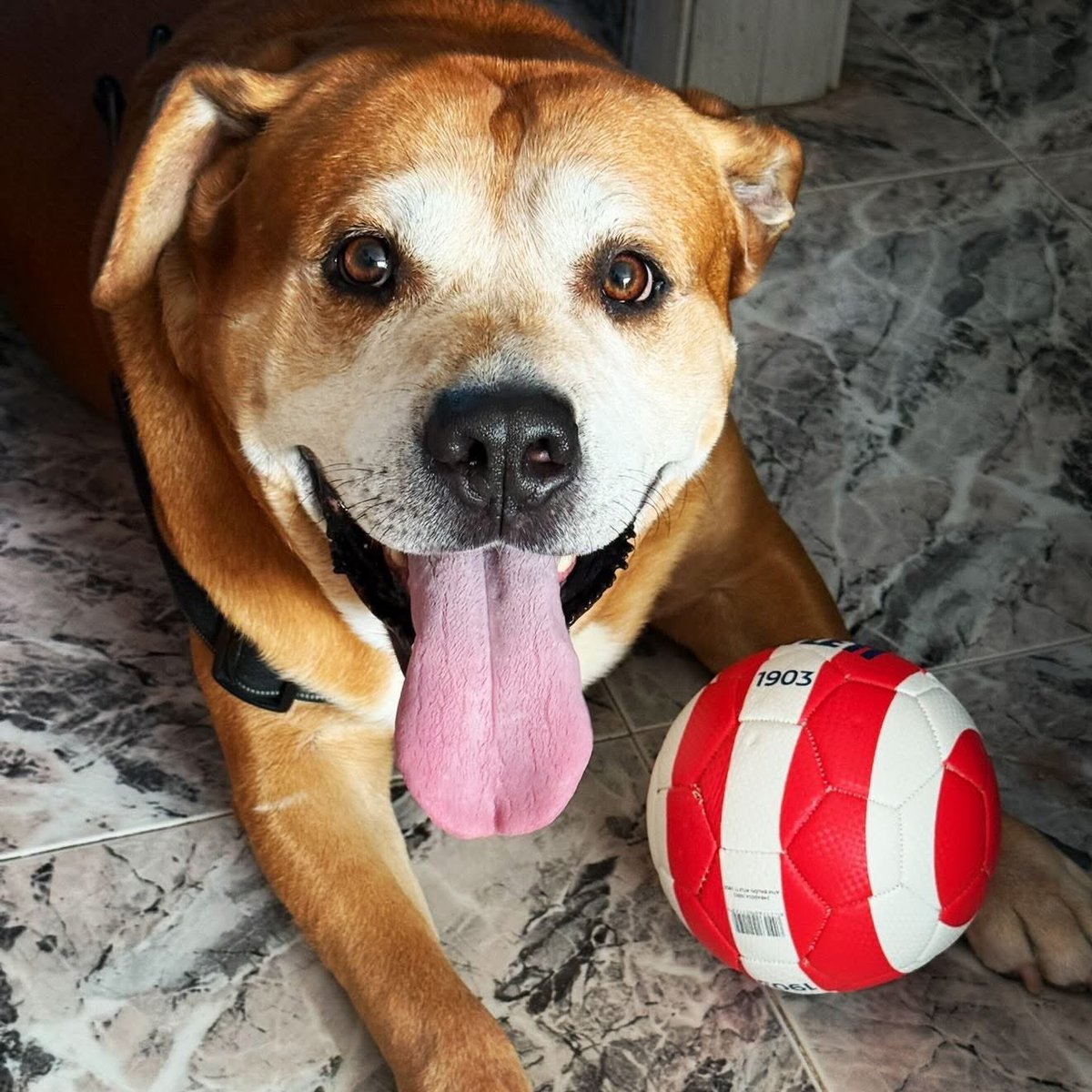 Hoy es mi día, pero el protagonista eres tú! Gracias, mil gracias por ser tan fuerte, has logrado superar la enfermedad con tu gran vitalidad y fortaleza, estoy orgulloso de ti pequeño grandullón, eres lo más bonito que me ha pasado nunca, sigue así de fuerte y nada te vencerá!!