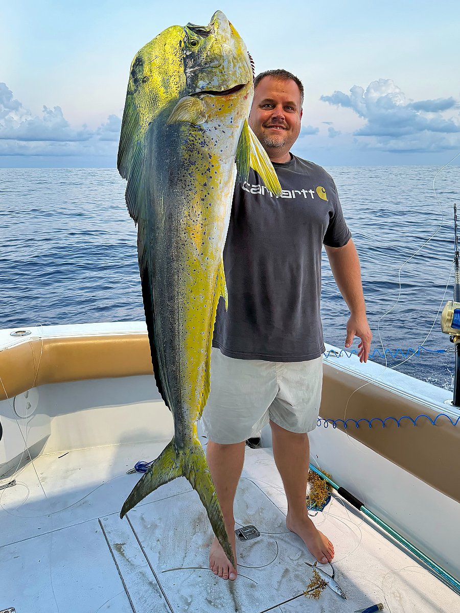 roffsfishing's tweet image. ROFFS client Eliott Brown fished with his crew on the Honu recently out of Freeport, TX and released a blue marlin & sailfish along with this nice bull dolphin!
roffs.com/texas-to-bullw…
#ROFFS #ROFFSFishing #SaveTime #SaveFuel #DontGuess #CatchFish #UseROFFS