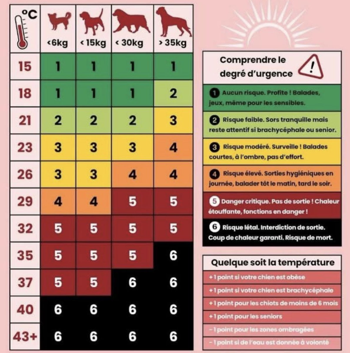Combien de degrés avant d’être en danger pour vos animaux ? 🥵🥵🥵
#canicule #France #chien 
.
.
.