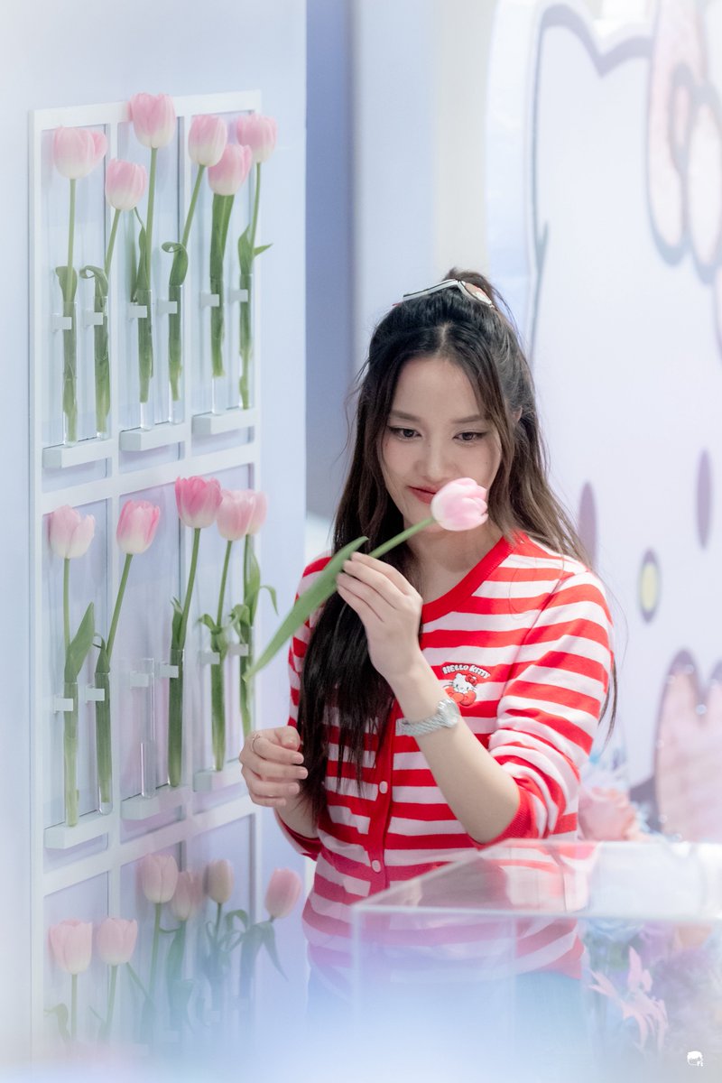 teeoheewhy's tweet photo. 🌷 https://t.co/OXaw686Q4D