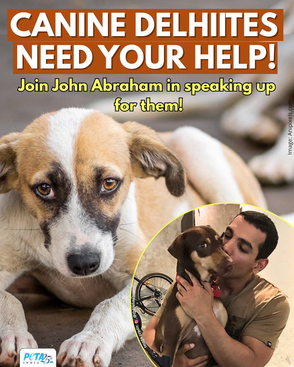 PETA India (@petaindia) on Twitter photo <a href="/TheJohnAbraham/">John Abraham</a> writes to Hon’ble Chief Justice on Supreme Court direction to jail Delhi dogs: dogs are Delhiites and they are loved. 🐶🐾❤️
The Supreme Court has directed that Delhi’s dogs be rounded up and sent to faraway places and jailed, but displacement of community dogs <a href="/TheJohnAbraham/">John Abraham</a> writes to Hon’ble Chief Justice on Supreme Court direction to jail Delhi dogs: dogs are Delhiites and they are loved. 🐶🐾❤️
The Supreme Court has directed that Delhi’s dogs be rounded up and sent to faraway places and jailed, but displacement of community dogs