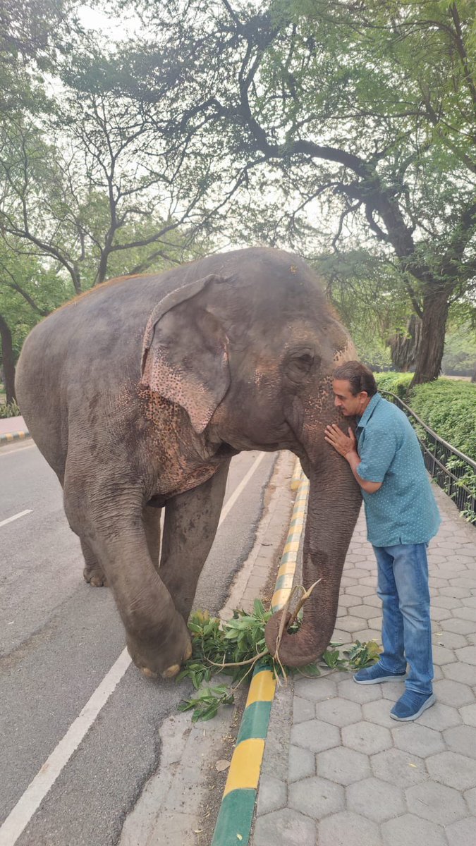 KVSinghMPGonda's tweet image. Spoke at the national celebrations of #WorldElephantDay2025 in Coimbatore, Tamil Nadu. 
It was an honour to felicitate our frontline heroes with the #GajGaurav Awards and launch awareness campaigns involving 15 lakh students from over 5,000 schools.

India, home to approx. 60% of…
