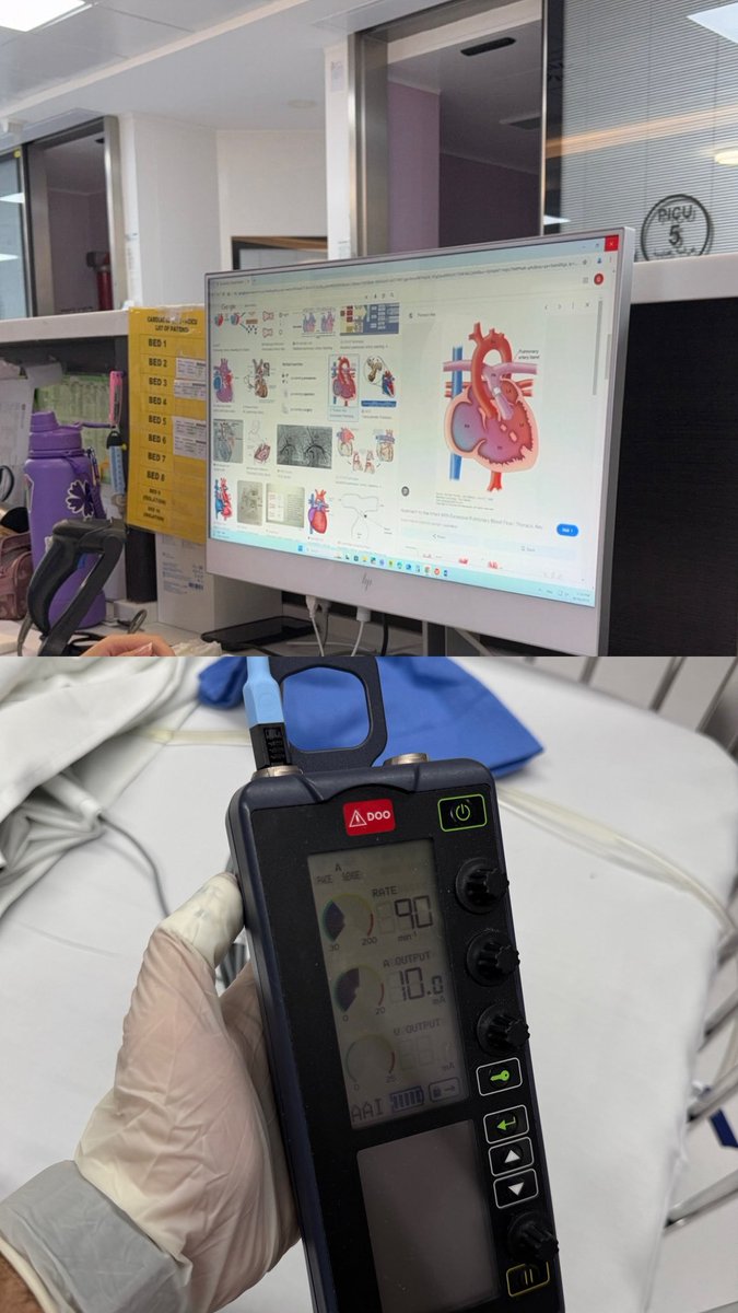 عـــــمرو tweet media