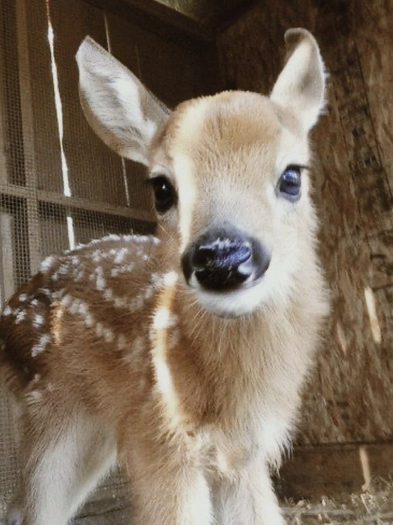 ౨ৎ (@futchlivias) on Twitter photo 