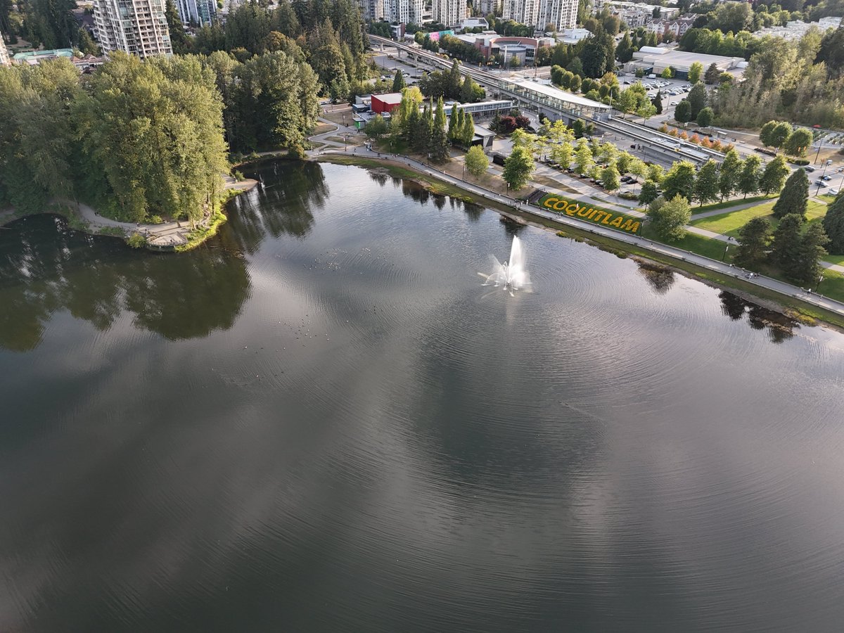 LayerDrone tweet media