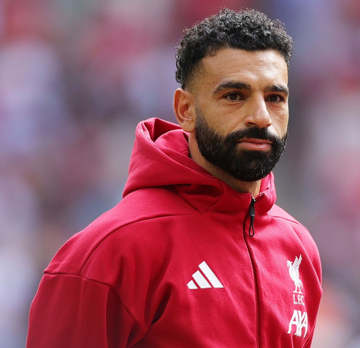 🚨 أولى القرارات النهائية المحسوبة : 
 
أنا إشتريت ✅ .

HERE WE GO 💣🔥 . 

لايك ❤️.
رتويت 🔄. 
#FPLCommunity #فنتازي #fantasy #FantasyProLeague .