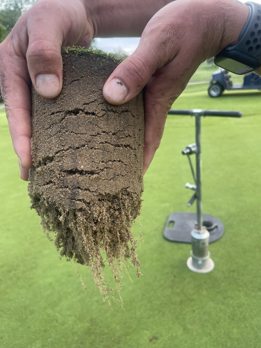 What’s interesting to us is this was taken from the same green back on July 26th. Roots were healthy but not as deep. We have introduced <a href="/RhizoFoliar/">Enhanced Organics</a> A&amp;B to our program. We like the product and partnership early on. Time will tell.