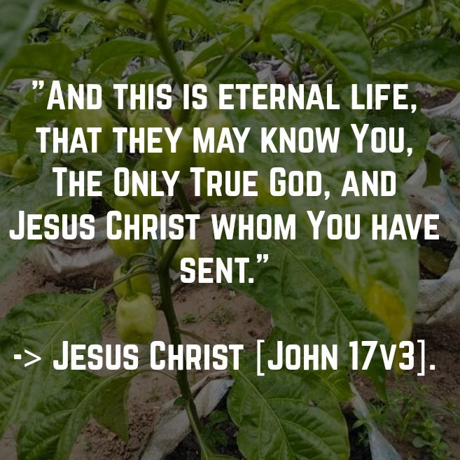 eau2online's tweet image. Never assume you know whom/what/when you really do not know: the assumption of knowledge is a very unsafe act and practice. If you know, you know; if you don't know, then you don't know.

#TheWordsOfTheMaster,
#KnowledgeIsLife,
#BeInTheKnow.