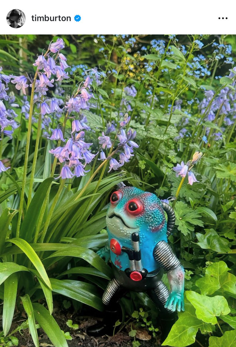 nweyzo's tweet image. ティム・バートンのインスタに愛されてる顔のガマボイラーがいて顔が緩んだ