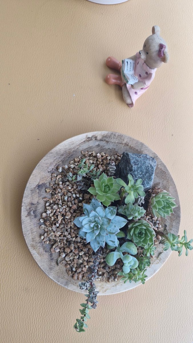 nalnal1109821's tweet image. ##강아지##다육이####사랑이###다독여#
다육이 앞 강아지 무슨 공부를~~
인생 곰부인가~~~~ㅎ