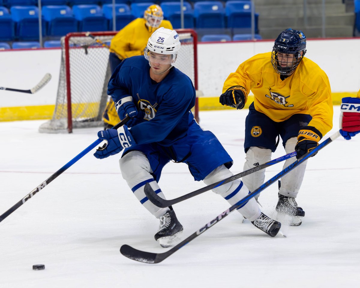 Quinnipiac Men's Ice Hockey tweet media