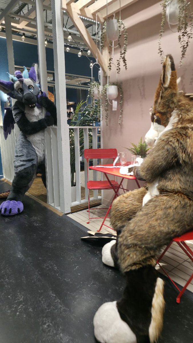 Dust the Dutchie 🔜 🧭 tweet media