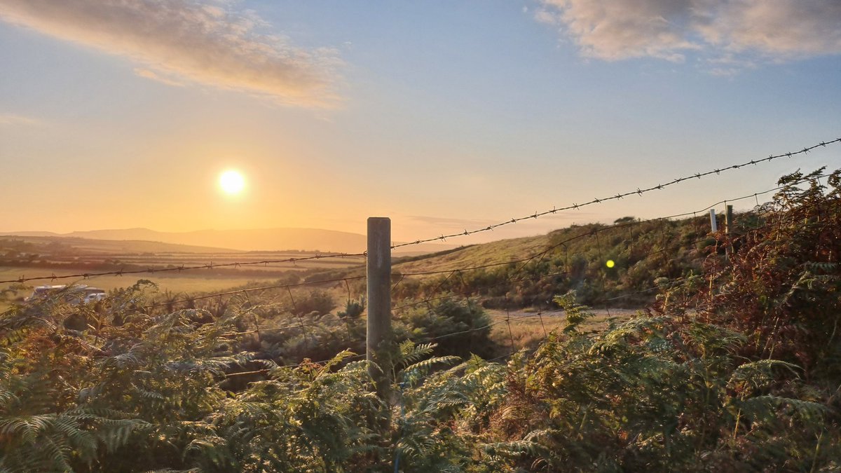 Tessa Delves tweet media