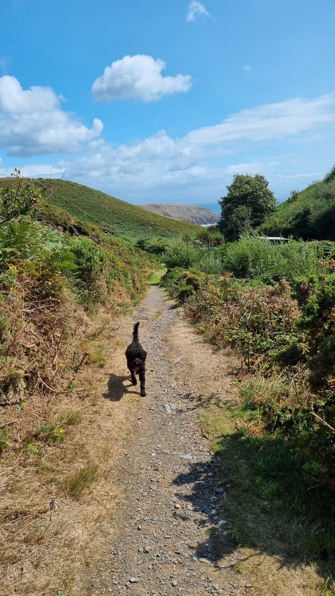 Tessa Delves tweet media