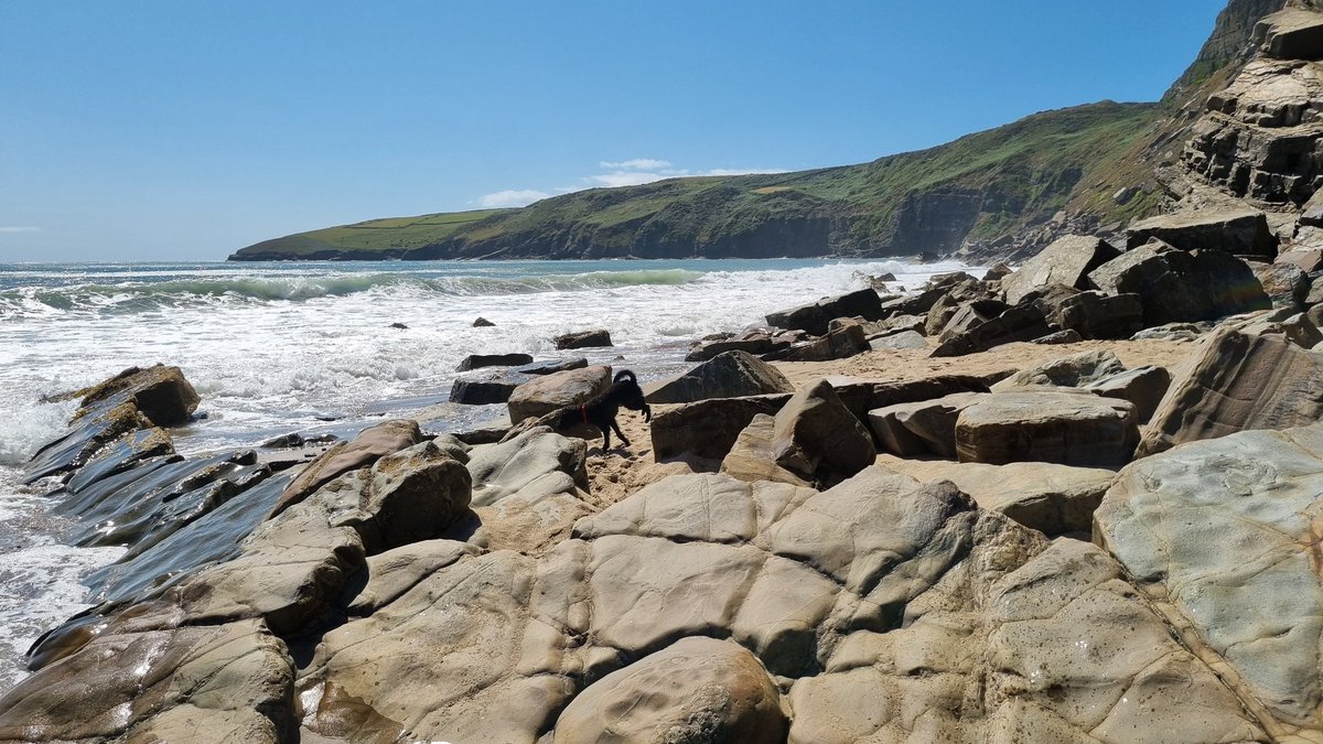 Tessa Delves tweet media