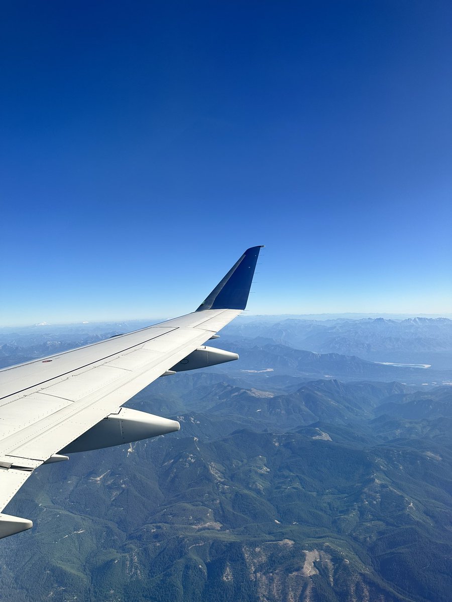 Axelia 🌻 (@axelia_rose) on Twitter photo 