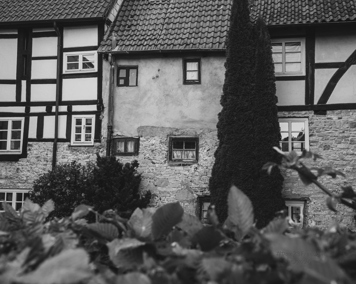 dan23freedom's tweet photo. The Many Eyes of Stone
ยท
๐ท 1/50 sec at f/7,1, ISO 400, 32 mm standard 24-50mm โ๐ค #dan23freedom
#Photography #BlackAndWhite #Urban #UrbanExploration #UrbanWalk #Germany #NRW #HistoricArchitecture #UrbanTexture #WindowGazing #OldWorldCharm #MonochromeMagic #StoneAndTimber https://t.co/5AR0EoFfrA