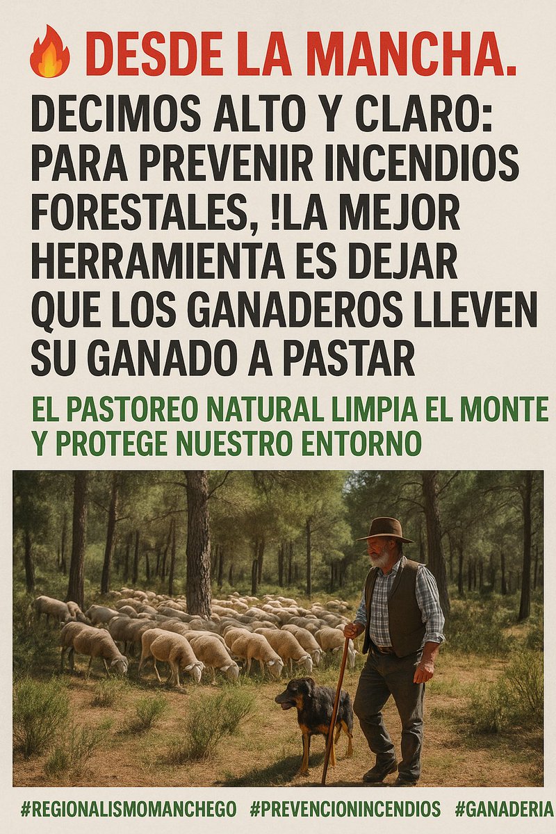 🔥 Desde La Mancha, decimos alto y claro: para prevenir incendios forestales, ¡la mejor herramienta es dejar que los ganaderos lleven su ganado a pastar! El pastoreo natural limpia el monte y protege nuestro entorno. #RegionalismoManchego #PrevenciónIncendios #GanaderíaSostenible