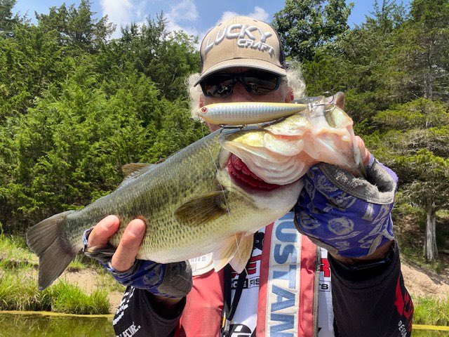 LuckyCraftUSA1's tweet photo. “With one of the most unique walking actions, left and right and up and down, the Sammy is a great summer topwater.”-National Bass Guide Service #Sammy100 #BoneShad #LuckyCraft https://t.co/aKXuqFivHY