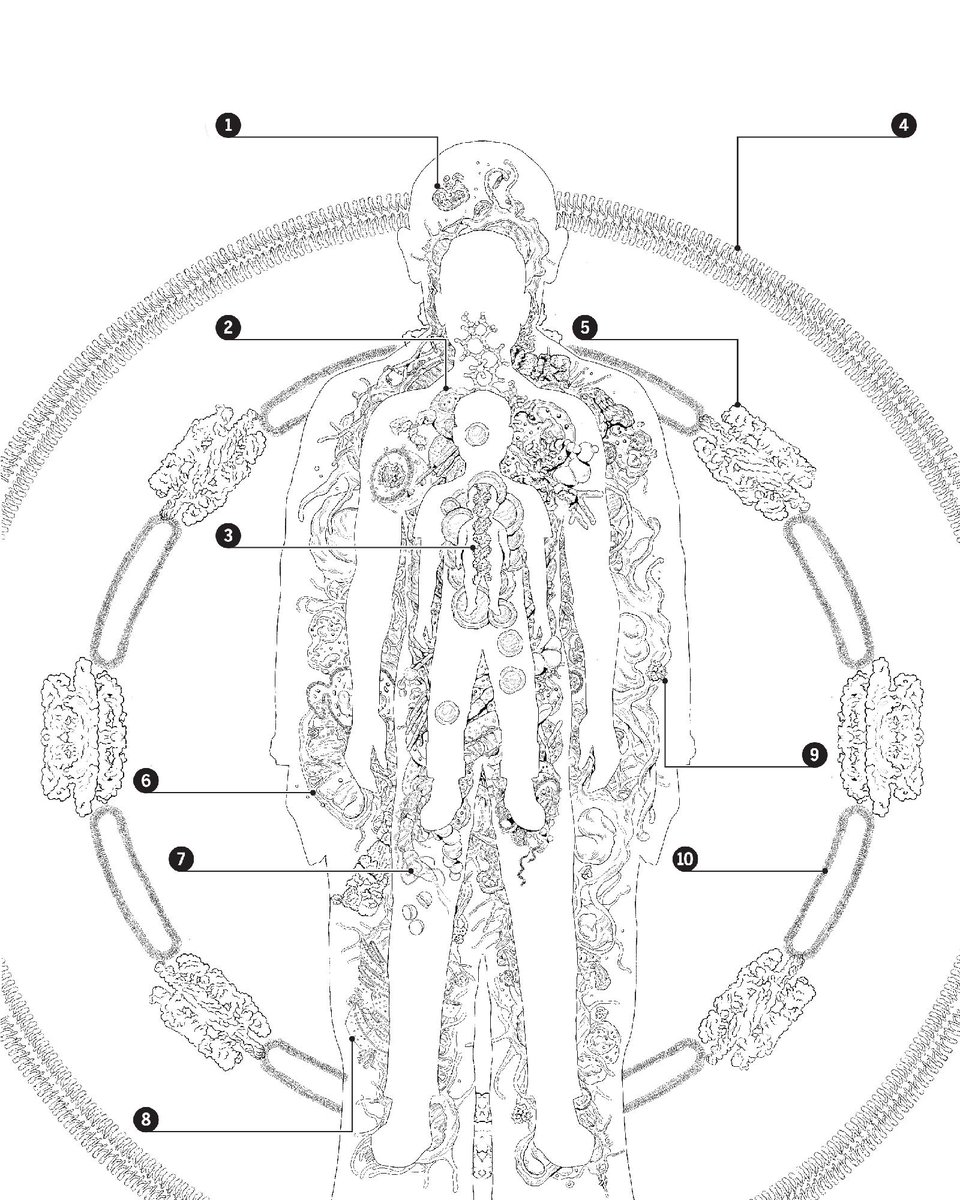 Science Magazine tweet media