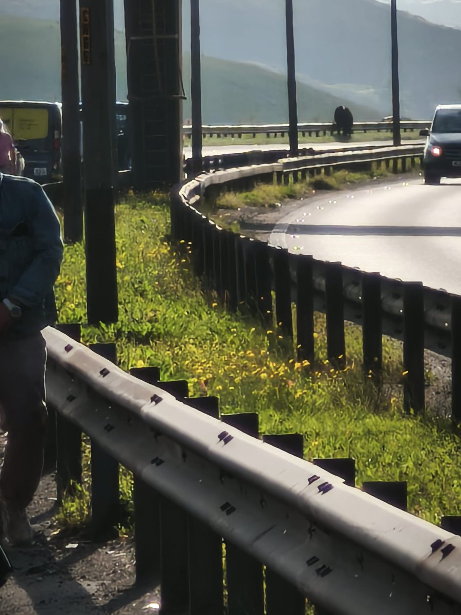 Nightmare travel today! Currently sat on M62 between Jct 22 &amp; J21 westbound due to cow in the middle of the motorway! Police have stopped all vehicles, we've been here for around 30 mins already. 🫣
