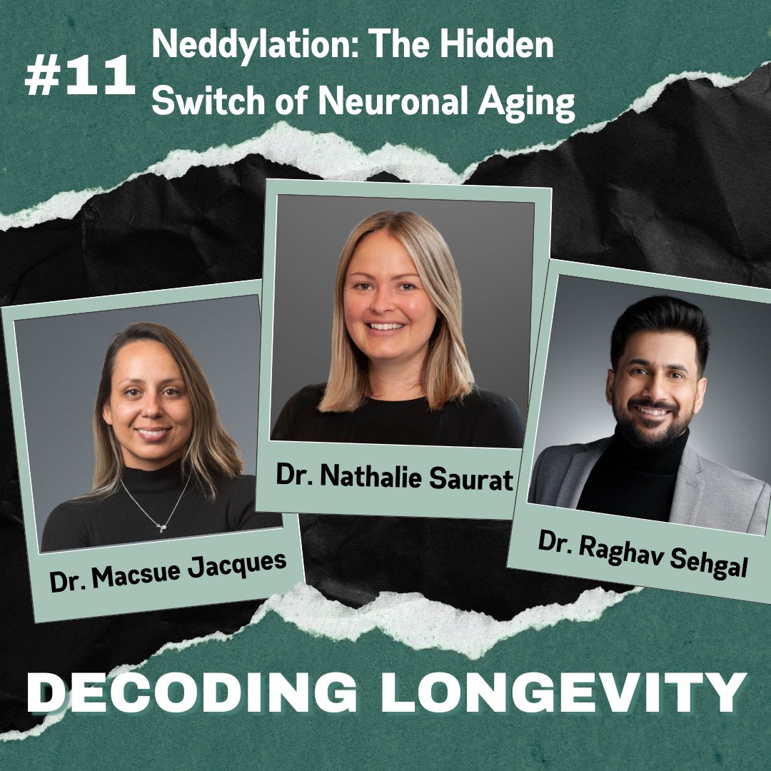 Decoding Longevity (@dcodlongevity) on Twitter photo đ§ Can we switch neuronal aging on or off?
Tomorrow on Decoding Longevity, <a href="/NatSaurat/">Nathalie Saurat</a> reveals how neddylation could be the key to unlocking Alzheimerâs research and drug discovery.
đ§ New episode drops TOMORROW on Spotify & YouTube!
#Neuroscience #Longevity #Alzheimers đ§ Can we switch neuronal aging on or off?
Tomorrow on Decoding Longevity, <a href="/NatSaurat/">Nathalie Saurat</a> reveals how neddylation could be the key to unlocking Alzheimerâs research and drug discovery.
đ§ New episode drops TOMORROW on Spotify & YouTube!
#Neuroscience #Longevity #Alzheimers