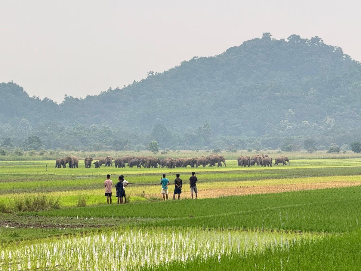Privileged to witness the “Elephant Cup” on the eve of #WorldElephantDay—thrilling matches, community spirit &amp; a powerful message of conservation and coexistence.