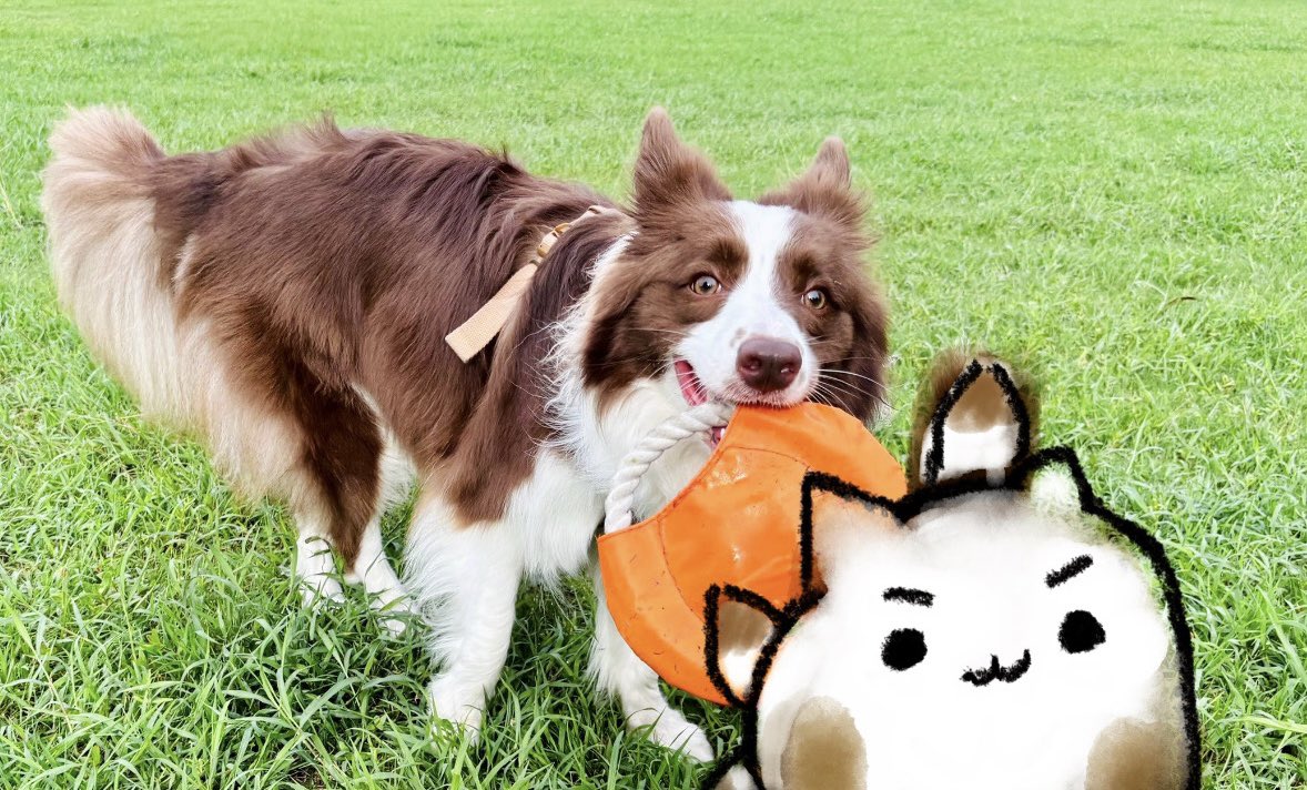 哈溜！我跟媽媽姐姐出去玩的照片！！
（玩具已壞掉）