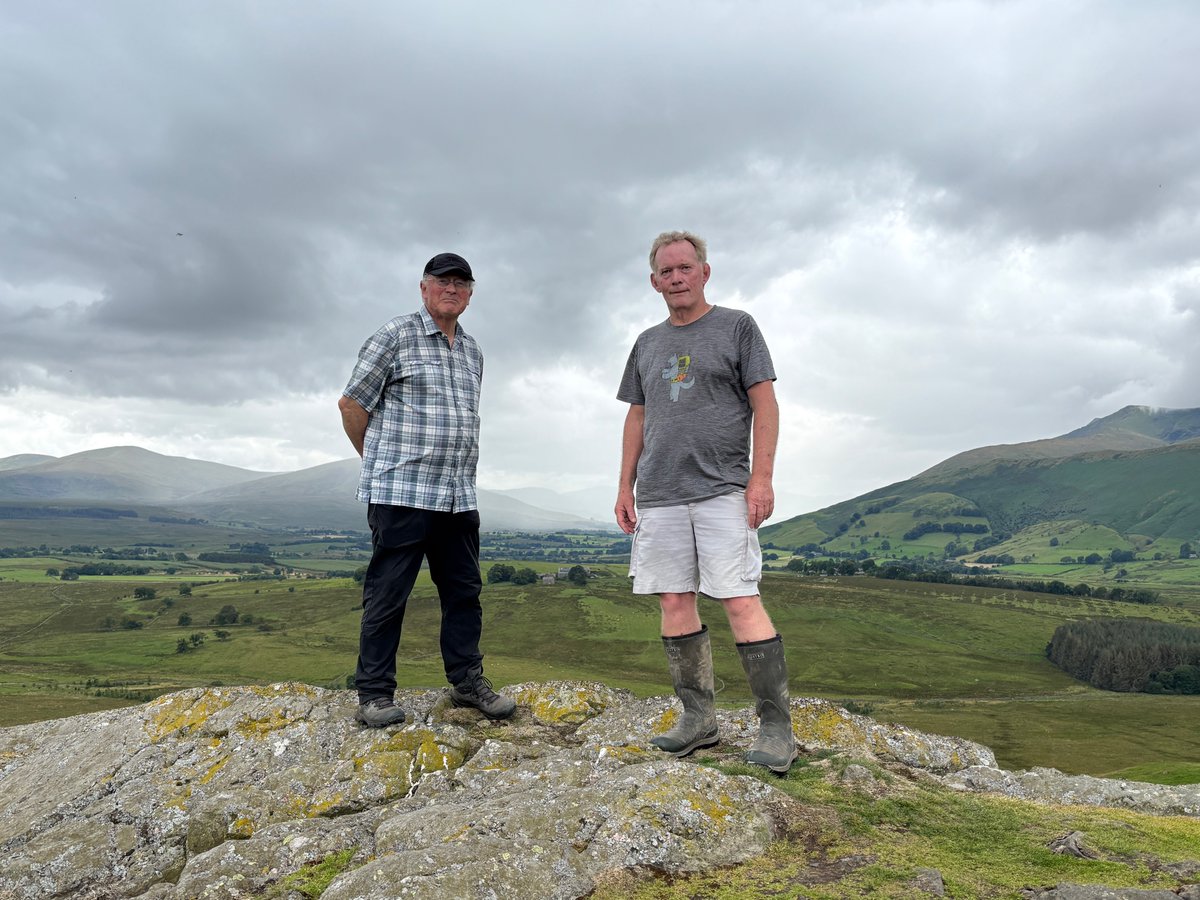 Countrystride tweet media