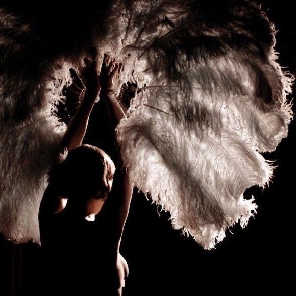 the life of a showgirl ❤️‍🔥