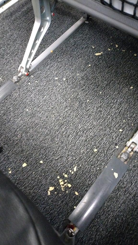 DonkeyGopnik tweet media