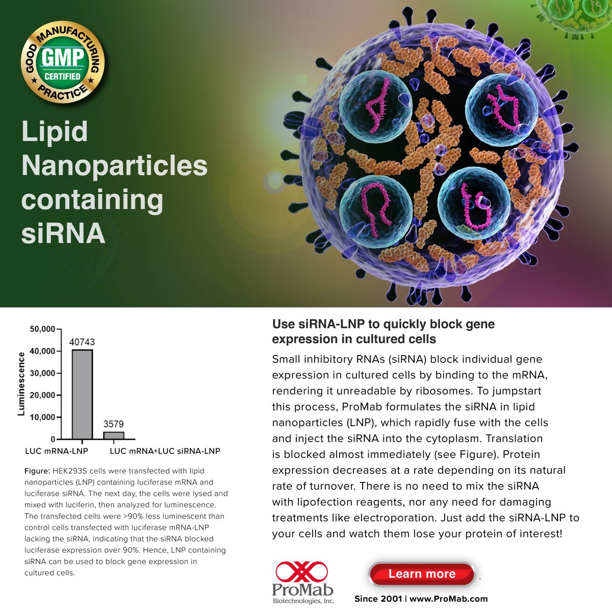 ProMabBiotech's tweet image. 🚀💥💡ProMab’s siRNA-LNP rapidly blocks protein expression – no need for lipofection pre-mixing or electroporation! 👉🔗 Discover more: hubs.li/Q03Cn_qP0 #mRNA #LNP #LipidNanoparticles #Biotech #ProMabBioTech #ProMabBioEra