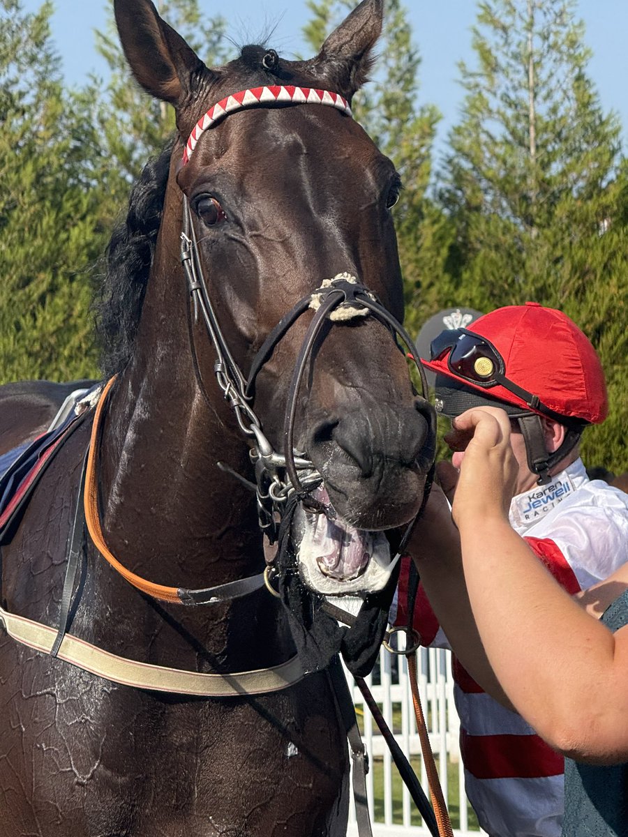 adele82306097's tweet image. Great win for Manila Mist in the heat @LingfieldPark