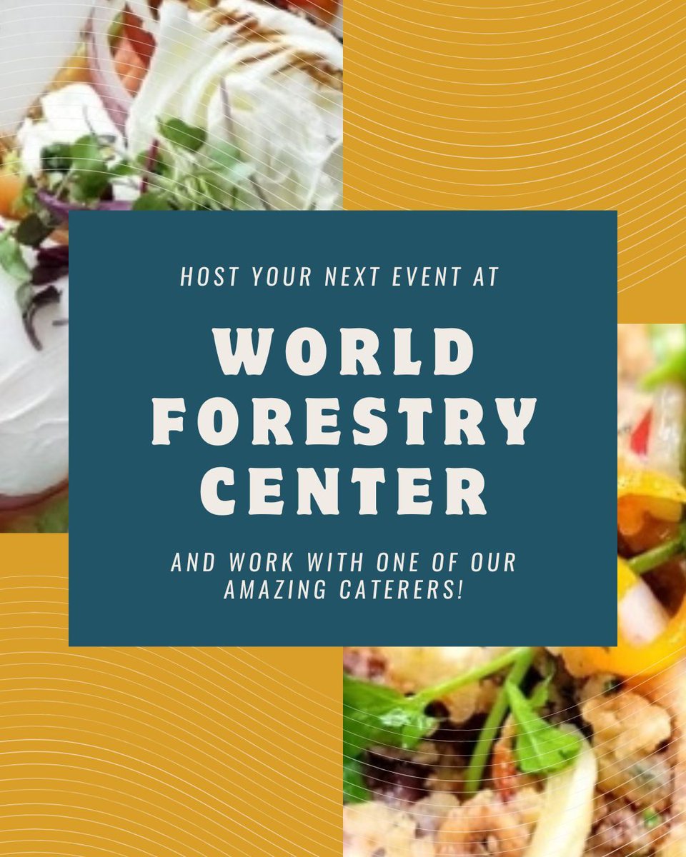 🔆  Catering Spotlight: We're excited to feature one of our approved caterers: Kitchen Killa!

Here’s what makes them stand out: 
🍴 Unique custom menus for passionate for foodies
👩‍🍳 Personal and private chef services 
🌿 BIPOC and woman owned